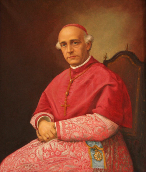 D. Américo Ferreira dos Santos Silva (1871-1899)